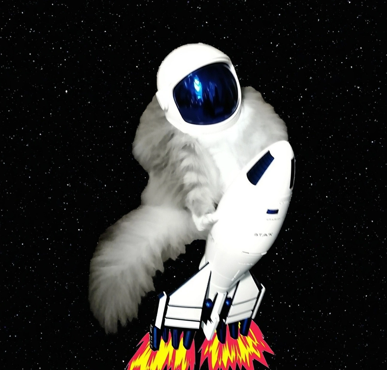Meowta in space
